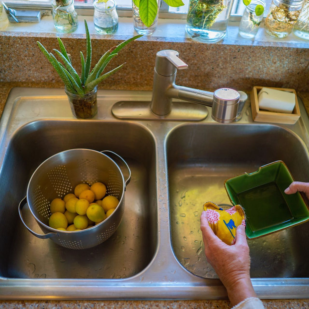 Organic Scrubby