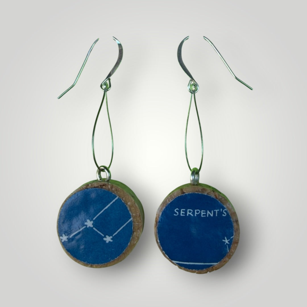 Vintage Book & Wine Earrings-vbw29