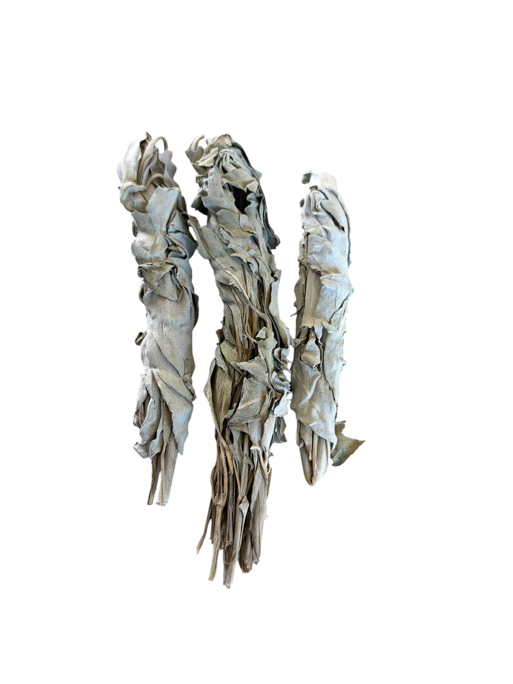 Organic Dried Sage